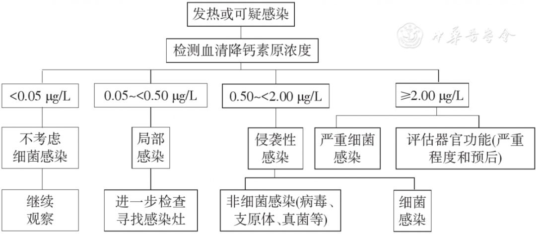 血清降钙素原检测用于感染相关疾病鉴别诊断程序图